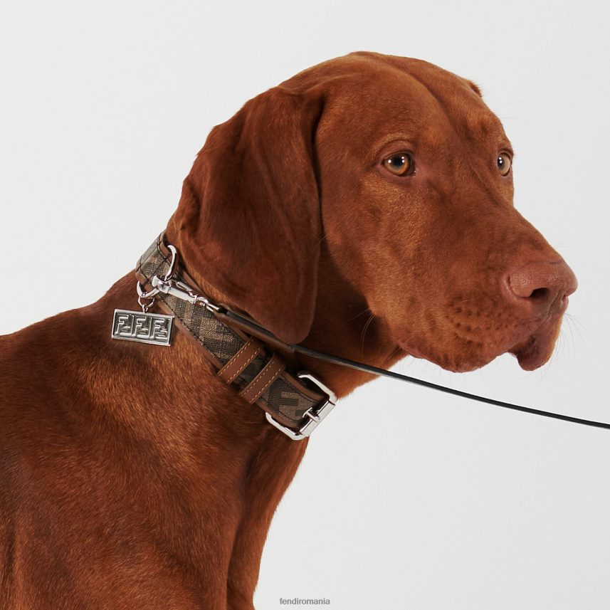 guler din material textil maro Fendi bărbați accesorii 86084L451